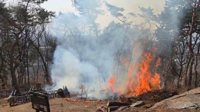 산 7곳 불지르고 