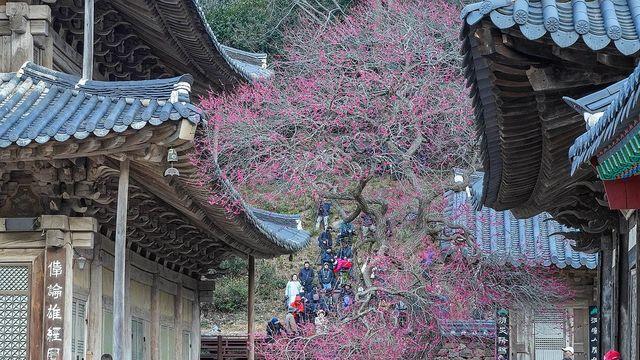 일교차 큰 일요일…강원 동해안 매우 건조