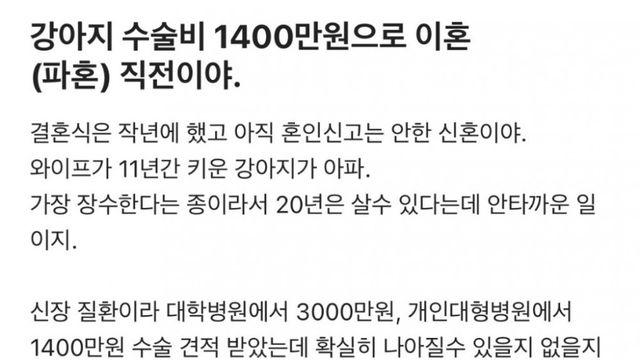 강아지 수술비 1400만원으로 이혼 직전이야...