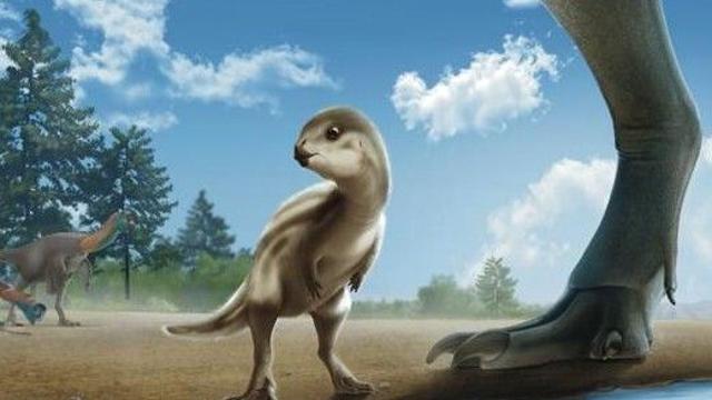 전남 신안 ‘둘리사우루스’ 발견…솜털 보송 아기공룡, 몸길이 1m