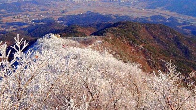 호남평야가 발아래… 벚꽃 드라이브코스·등산 다 즐길 수 있는 ‘국내 명소’