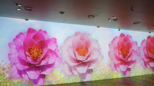 BTS는 무슨 책 읽을까...국립중앙도서관 ‘BTS의 책장’ 공개