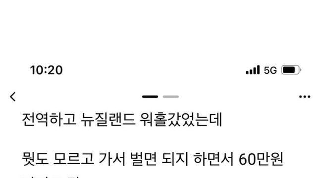 뉴질랜드 대자연 목장에서 알바했던 썰