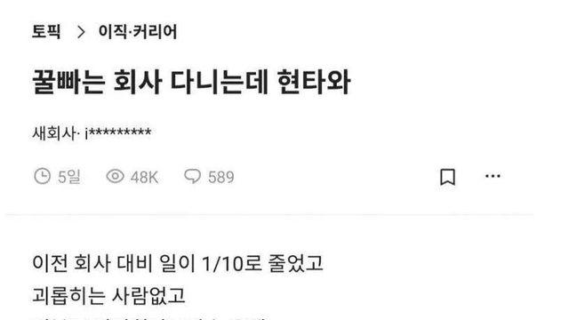 꿀빠는 회사 다니는데 현타와 jpg