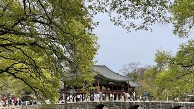 광한루원서 피크닉·벼룩시장·공연 한번에…내달 3∼19일 운영