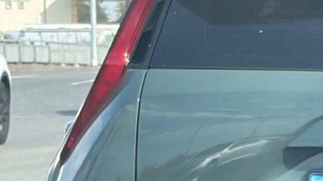 꽤나 커여운 차량 스티커들