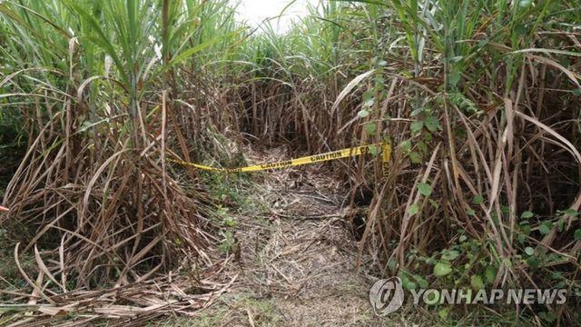 사탕수수밭 살인, 탈옥, 호화수감…송환된 '마약왕' 박왕열