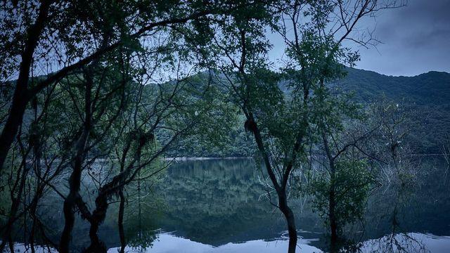 '살목지', 한국 물귀신 영화의 신선한 진일보
