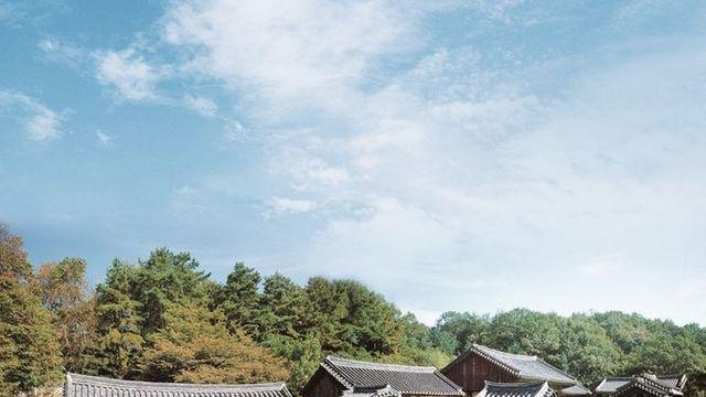 임진강을 따라 걷는 시간여행, 벚나무를 따라 걷는 봄꽃여행 (평화누리길, DMZ 사색(四色)하다 ③)