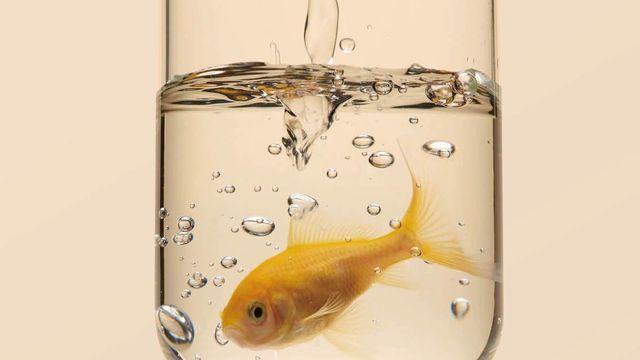 지금 장바구니에 담아야 할 60가지 리빙템