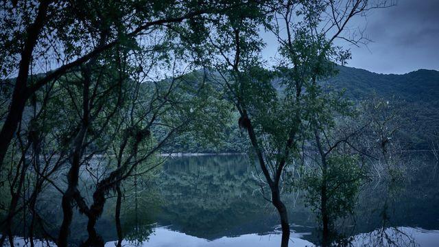 ‘살목지’ 90분 내내 눈과 귀를 막으면서도 보게 만드는 서늘한 공포  [IS리뷰]