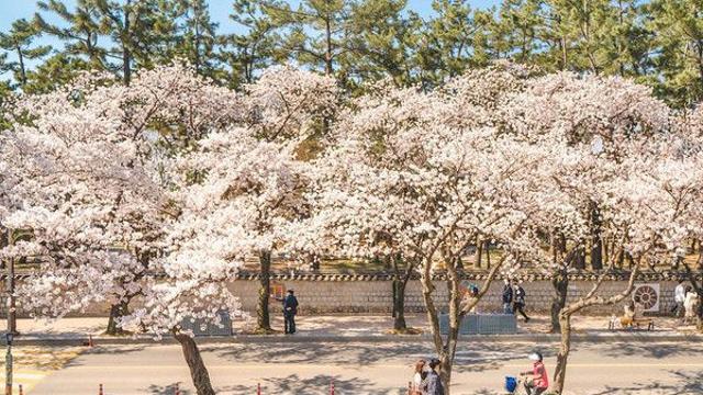 날씨, 남부·제주 