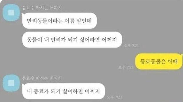 반려동물 고민상담