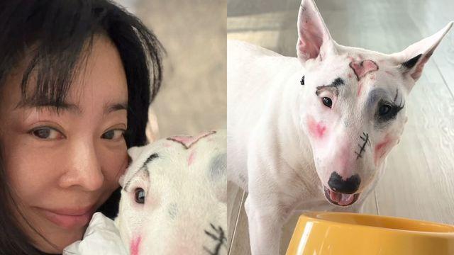 이혜영, 반려견 얼굴에 화장…동물학대 논란 확산