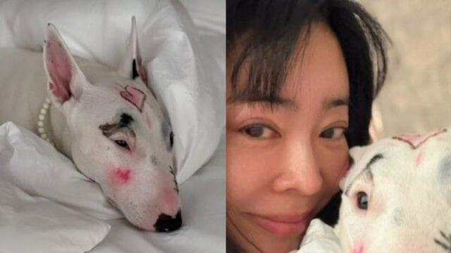 이혜영, 반려견 얼굴에 색조 화장 낙서 논란… 