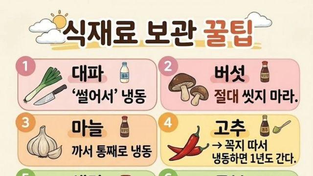 식재료 보관 꿀팁