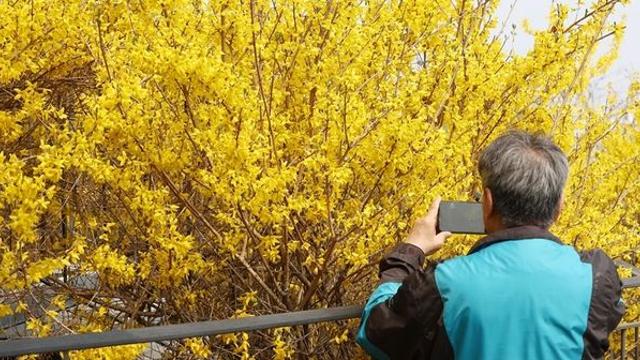 “따뜻해졌는데 왜 더 위험할까”…봄철 '돌연사' 늘어나는 의외의 이유