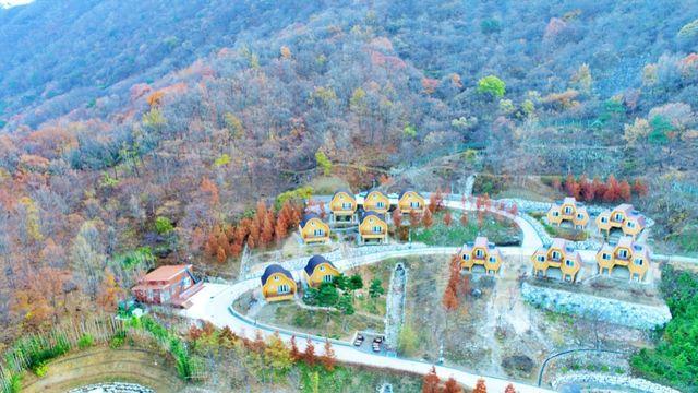 8년 공들여 300억 쏟았다…해발 897m 능선 위 '자연휴양림'