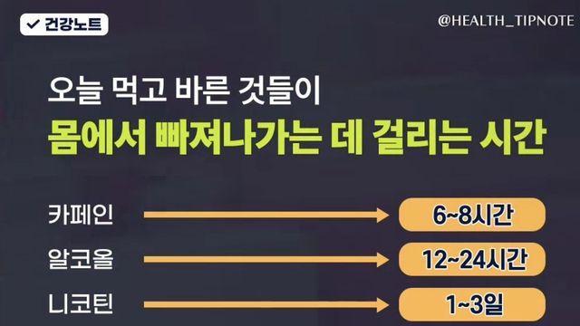 어제 먹은 야식이 언제까지?… 성분별 체내 배출 시간