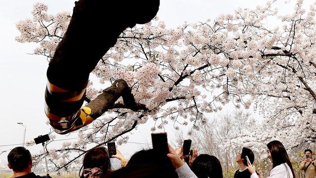 내일날씨, 전국 비 