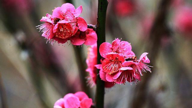 강원 흐리고 밤부터 비…내일까지 많은 곳 10∼50㎜