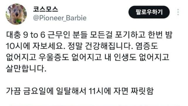 직장인 여러분 밤 10시에 한 번 자보세요 jpg