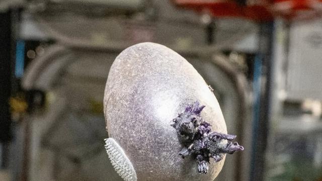 에어리언 알 부화?…‘보라색 촉수 괴물체’의 반전 정체