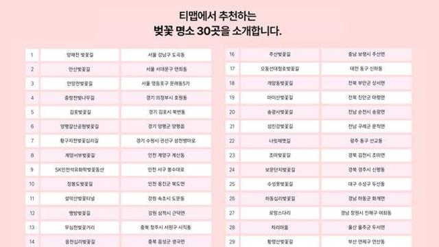 “이번 주말 벚꽃 개화 만개”...지역별 꼭 가야하는 명소 총정리