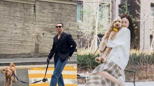 변요한·티파니, 반려견과 산책 중…꿀 떨어지는 신혼 생활 [IS하이컷]
