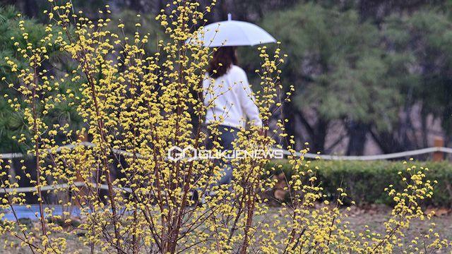 내일날씨, 오전까지 전국 