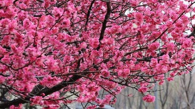 [날씨] 새벽 전국에 봄비…오전 중 대부분 그친다