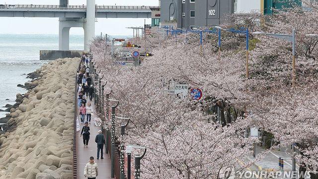 4월 첫날 전국 흐리고 낮 최고 18도…수도권·충청 출근길 안개