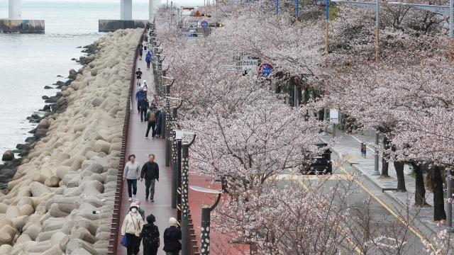 [내일날씨] 수요일에도 전국 곳곳 봄비…최대 10mm 예고