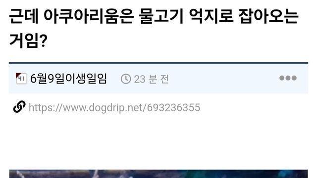 근데 아쿠아리움은 물고기 억지로 잡아오는 거임?