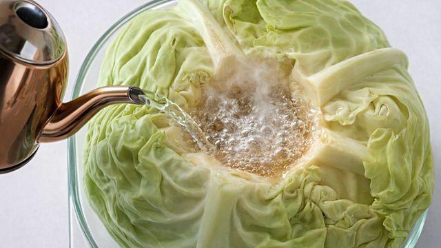 양배추 심지 제거하고 거기에 '뜨거운 물' 부어보세요…삶의 질이 무섭게 올라갑니다