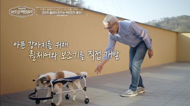 월 400억 버렸다…강아지 택한 ‘백만장자’의 선택