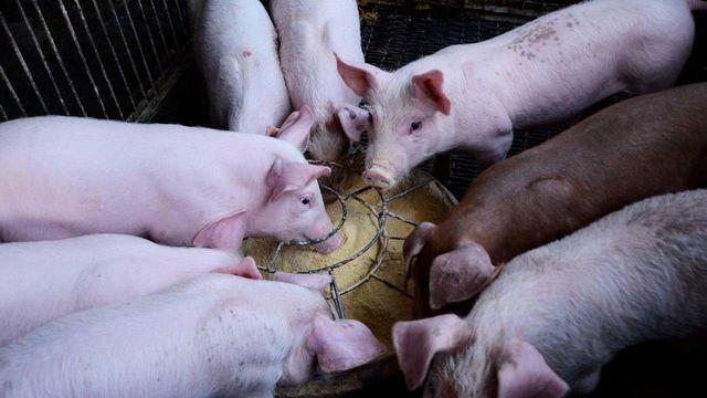 thumbimg