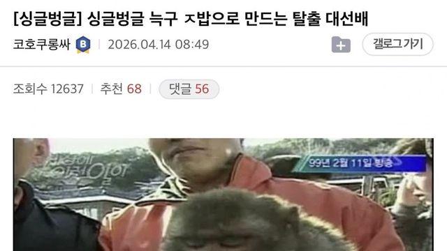 늑구 ㅈ밥으로 만드는 탈출 대선배