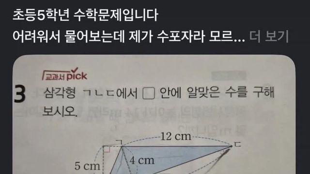 초등학교 5학년 수학문제 근황
