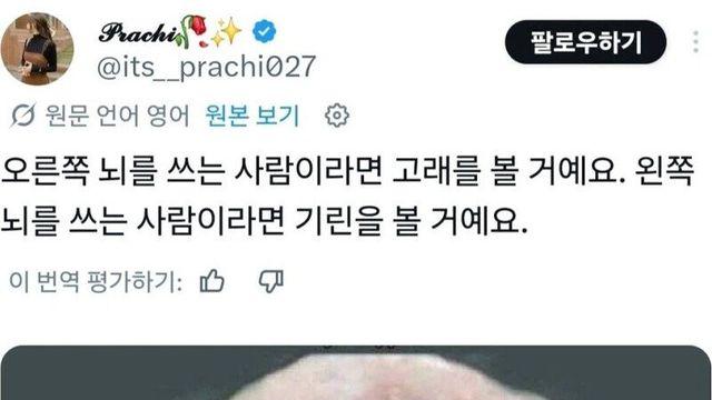 각각 좌뇌 우뇌를 쓰는 사람들이 다르게 보는 사진