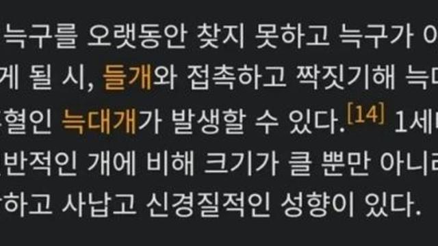 늑구를 애타게 찾아다닌 이유