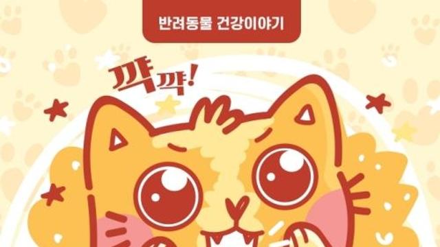 [반려동물 건강이야기] 꺅꺅! 보호자는 알 수 없는 고양이 언어...고양이 채터링 알아보기