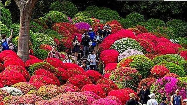 thumbimg