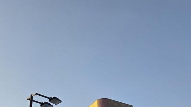 내돈내산으로 다녀온 서울근교 1시간거리 애견동반 카페/숙소 추천 (매너벨트 free, 강아지입장료x,300평 천연잔디 운동장)