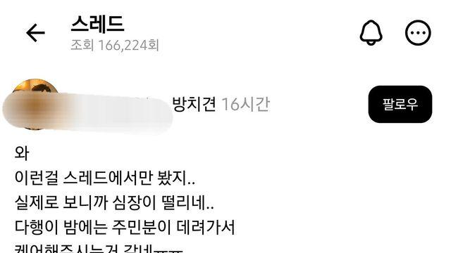 문 닫으면서 강아지를 버리고 간것으로 추정되는 횟집