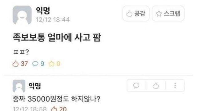 족보 평균 가격