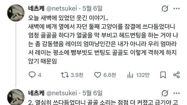 잠결에 고양이 헷갈린 사람