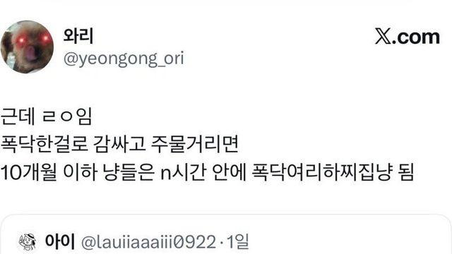 길고양이 입양했는데 경계를 안풀면.jpg