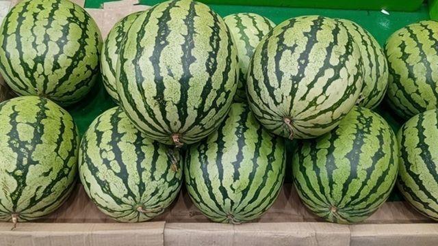 '어떤 게 진짜 맛있는 것일까..?' 손으로 하나하나 두드리지 않고도 맛있고 달콤한 '여름 수박' 고르는 방법