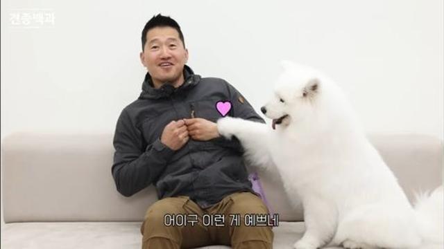졸귀인데 감히 키울수 없는 강아지